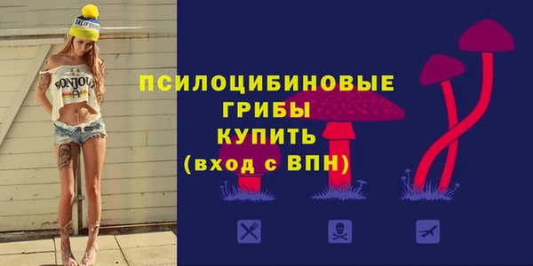 спиды Гусь-Хрустальный