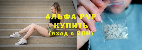 спиды Гусь-Хрустальный