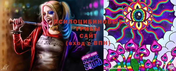 спиды Гусь-Хрустальный