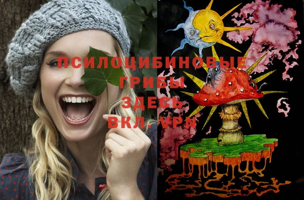 ALPHA PVP Гусиноозёрск