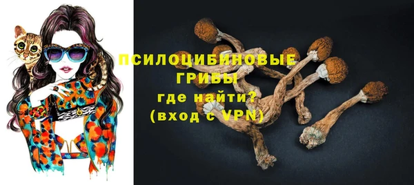 спиды Гусь-Хрустальный