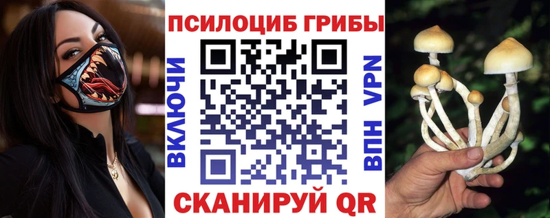 Псилоцибиновые грибы Cubensis  где купить наркотик  Евпатория 